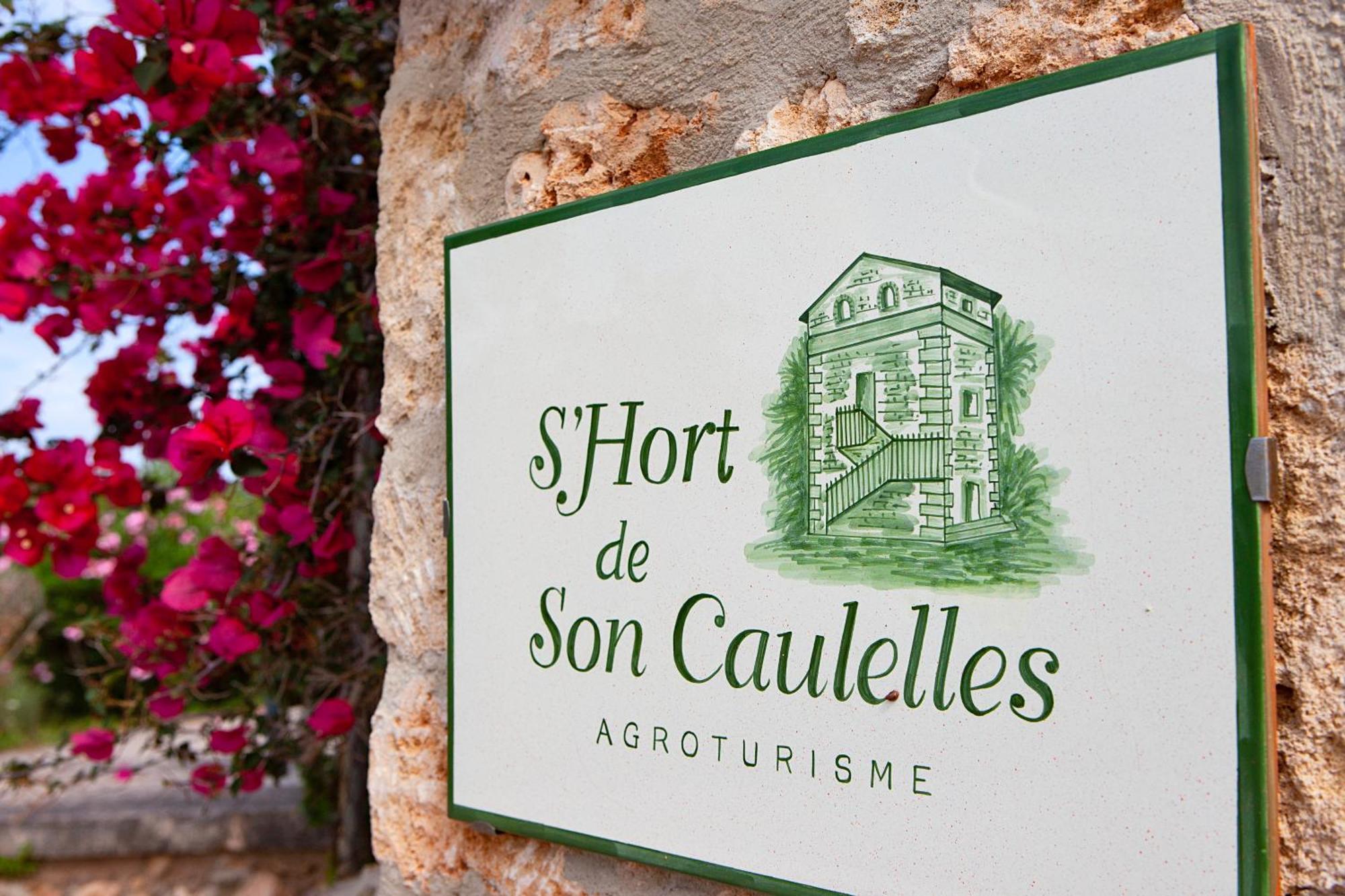 S'Hort De Son Caulelles - Adults Only Villa Marratxi Ngoại thất bức ảnh