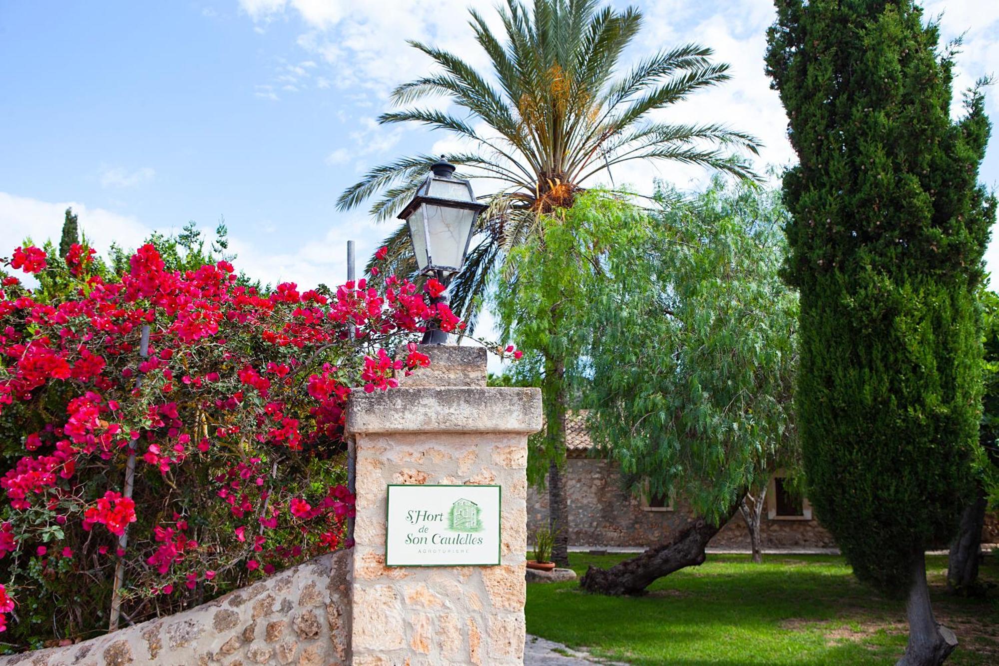 S'Hort De Son Caulelles - Adults Only Villa Marratxi Ngoại thất bức ảnh